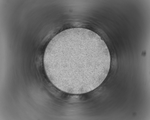 X0000112920473200910051112