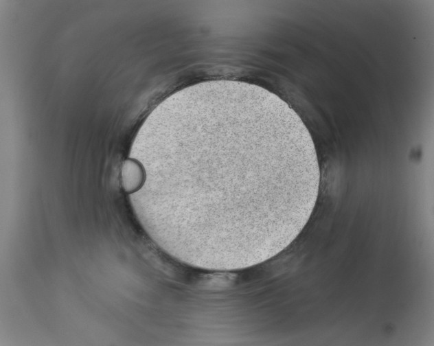 X0000112920474200910051112