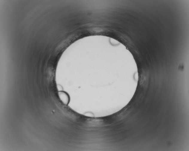 X0000112920476200910051112