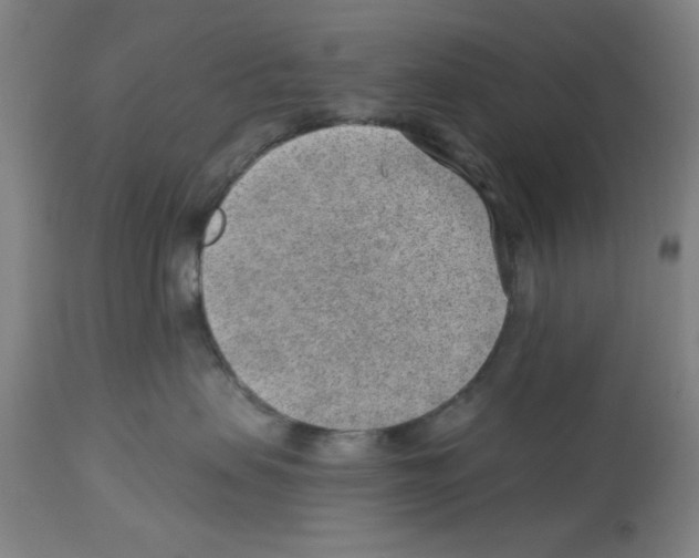 X0000112920479200910051112