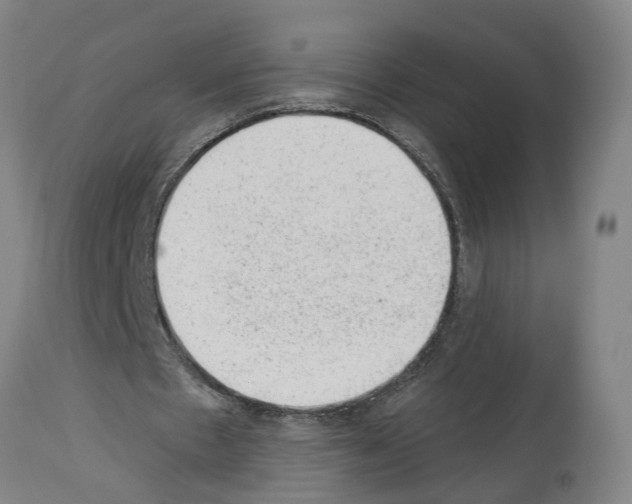 X0000112920481200910051112