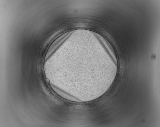 X0000112920482200910051112
