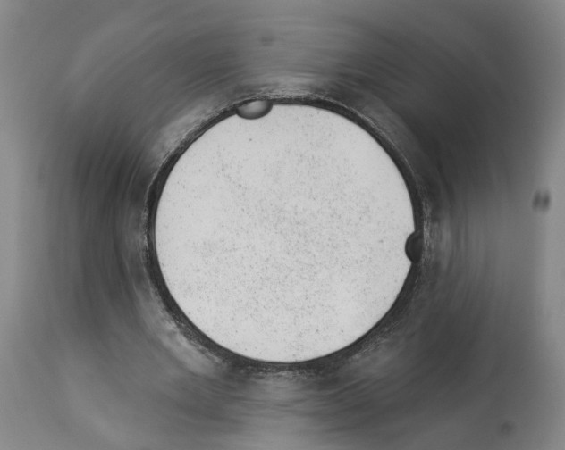 X0000112920485200910051112