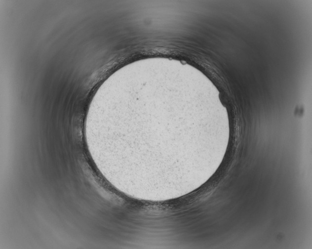 X0000112920489200910051112