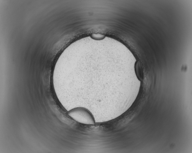 X0000112920493200910051111