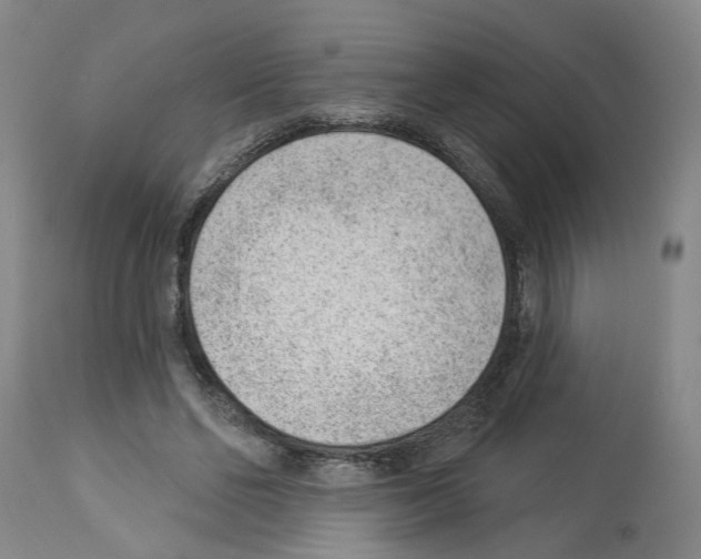 X0000112920494200910051111