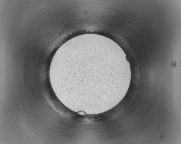 X0000112920496200910051111