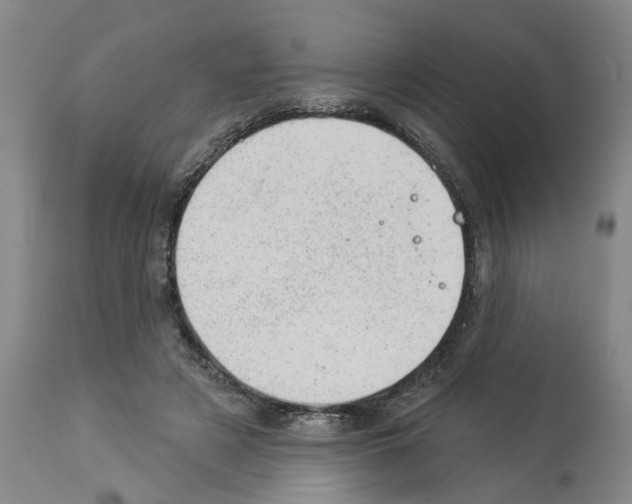 X0000112920497200910051111