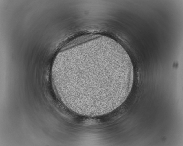 X0000112920499200910051111