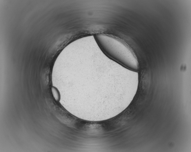 X0000112920501200910051111
