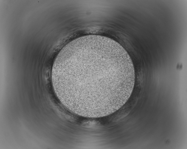 X0000112920503200910051111