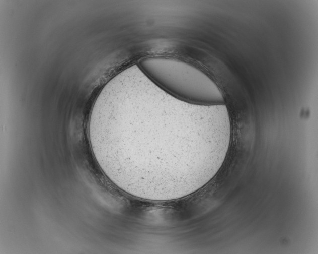 X0000112920504200910051111
