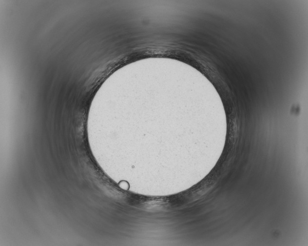 X0000112920505200910051111