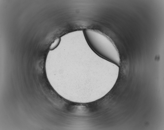 X0000112920509200910051111