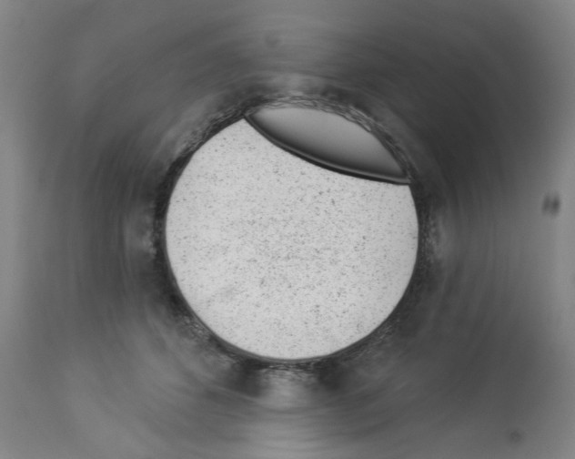 X0000112920512200910051111