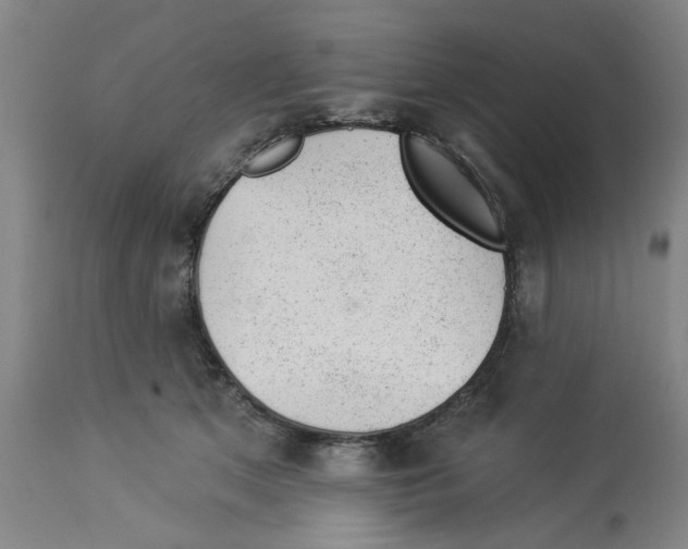 X0000112920513200910051111