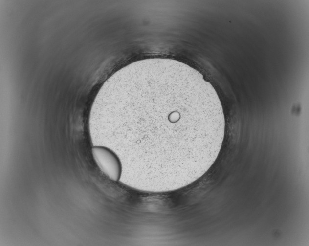 X0000112920516200910051111