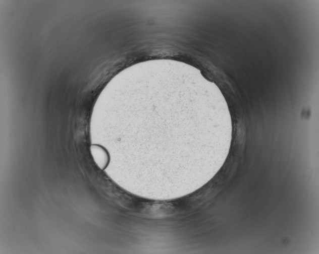 X0000112920517200910051111