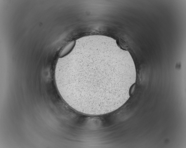 X0000112920520200910051111
