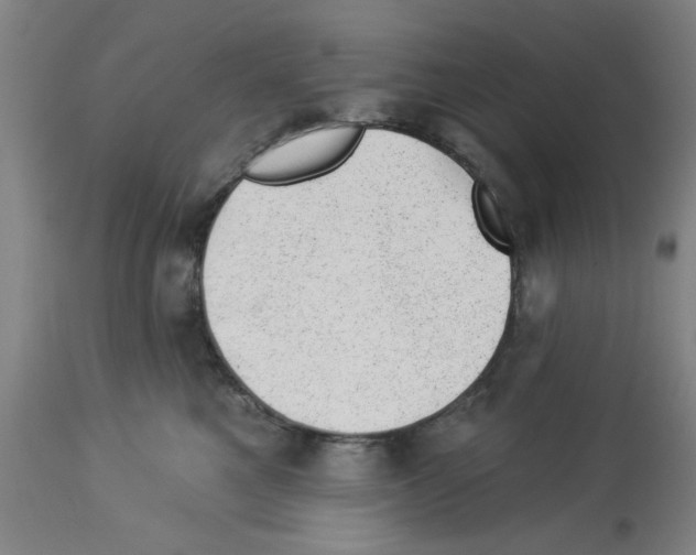 X0000112920521200910051111