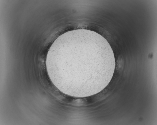 X0000112920522200910051111