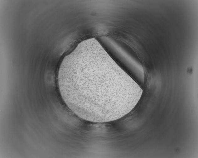 X0000112920524200910051111