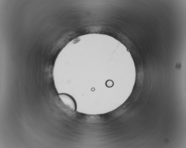 X0000112920525200910051111