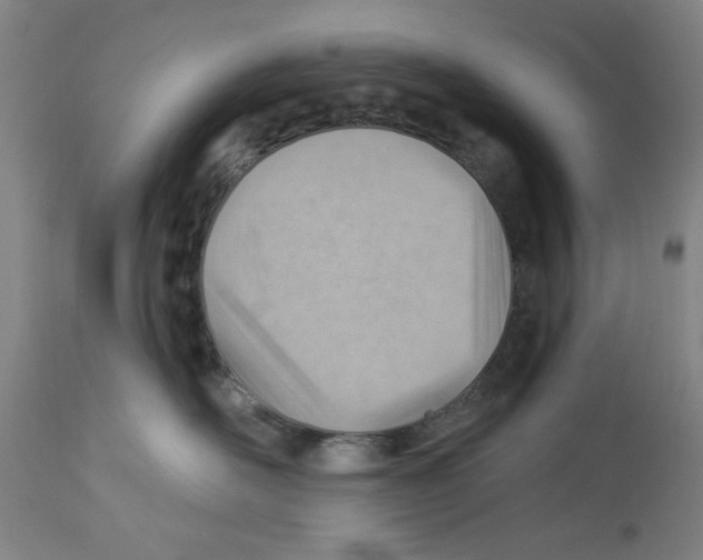 X0000112920526200910051111