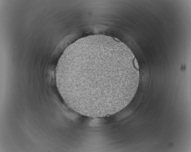 X0000112920527200910051111