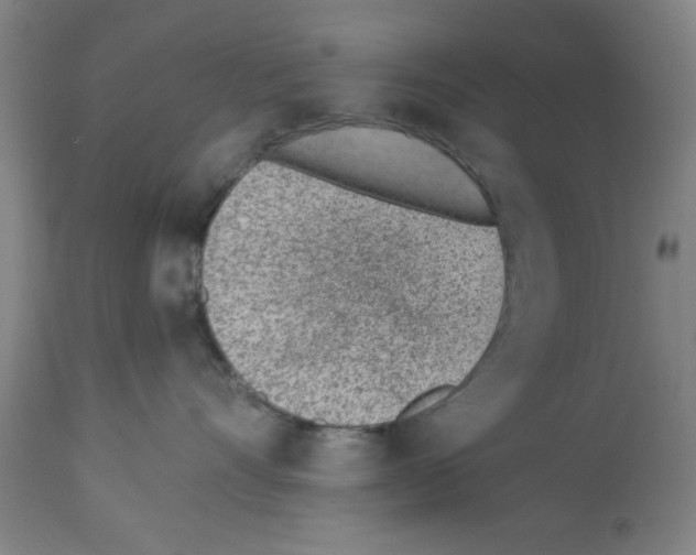 X0000112920528200910051111