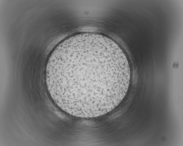 X0000112920529200910051110