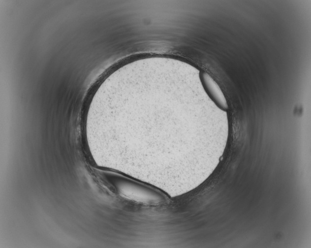 X0000112920532200910051110