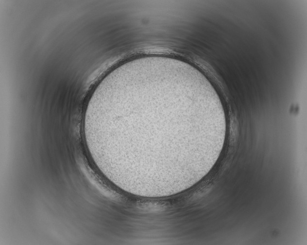 X0000112920533200910051110