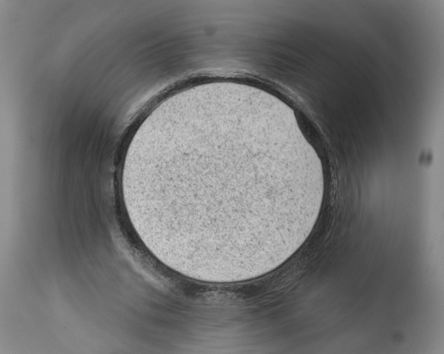 X0000112920535200910051110
