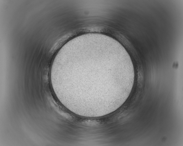 X0000112920537200910051110