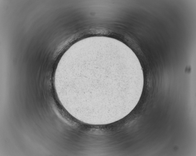 X0000112920538200910051110