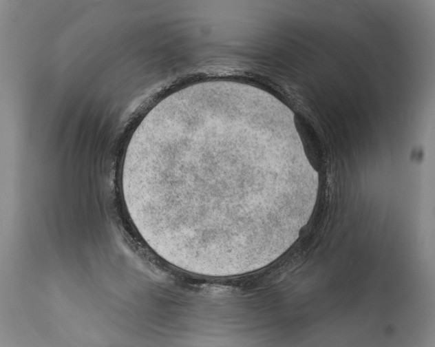 X0000112920539200910051110