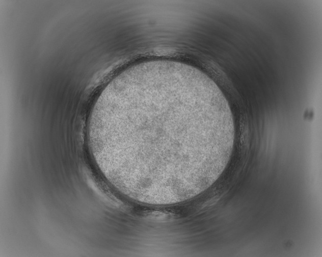 X0000112920542200910051110
