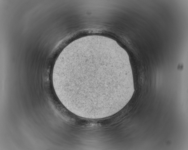 X0000112920543200910051110