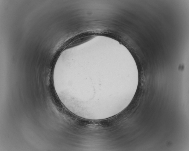 X0000112920544200910051110
