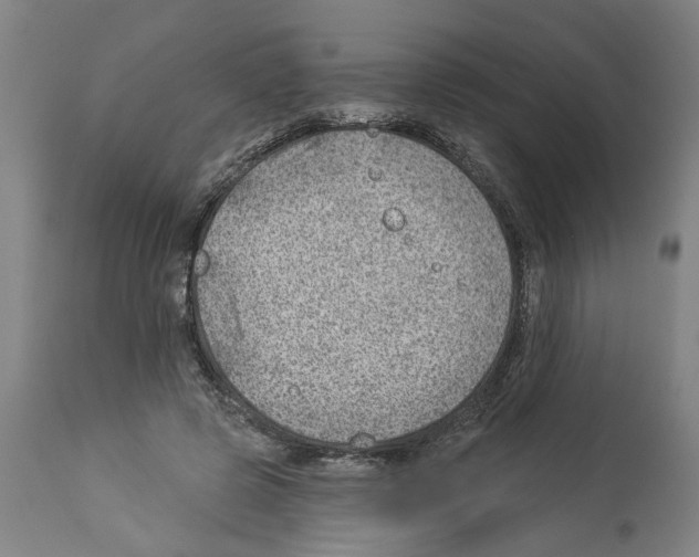 X0000112920545200910051110