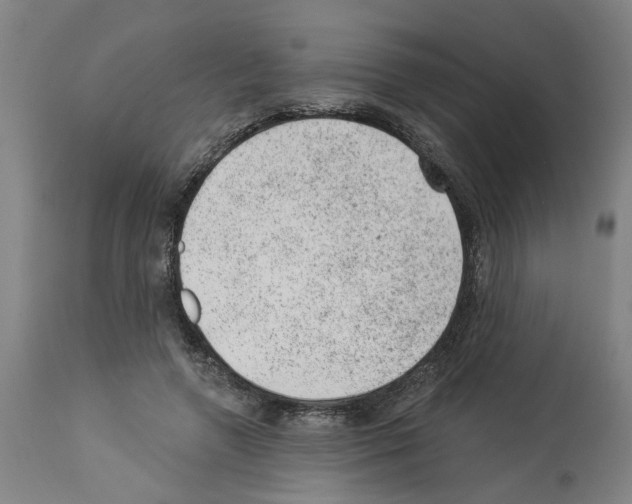 X0000112920546200910051110
