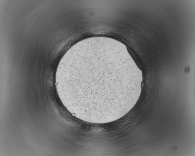 X0000112920547200910051110