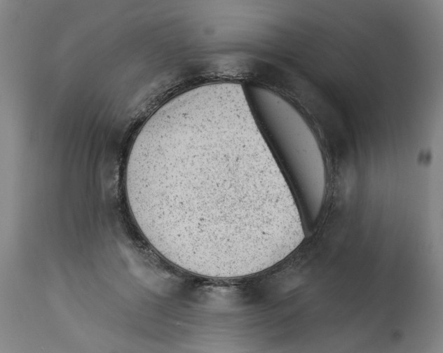 X0000112920552200910051110