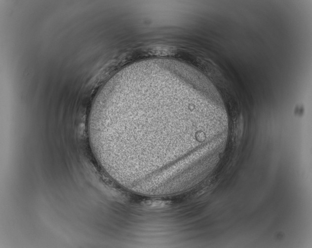 X0000112920553200910051110