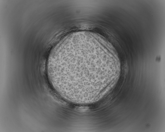 X0000112920554200910051111