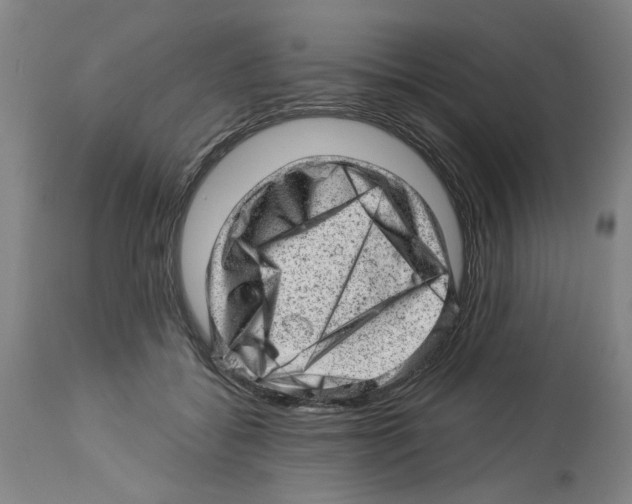 X0000112920556200910051111