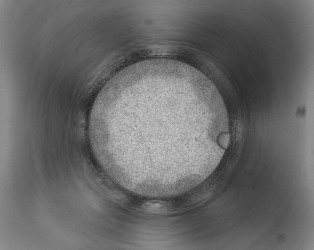 X0000112920557200910051111