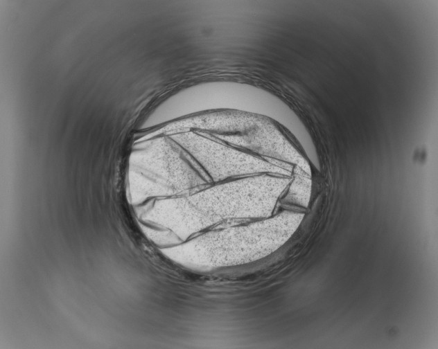 X0000112920560200910051111