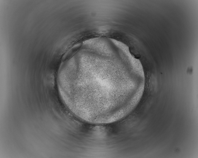 X0000112920562200910051111